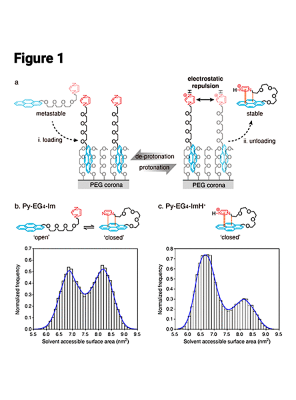 Molecular Engineering_