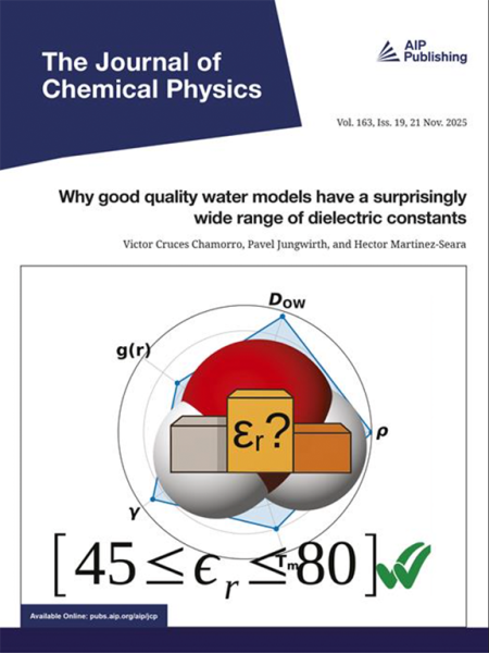 On the origin of hydrophilic interactions at alumina surfaces