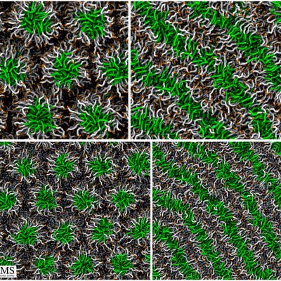 hexagonal-to-lamellar-mid